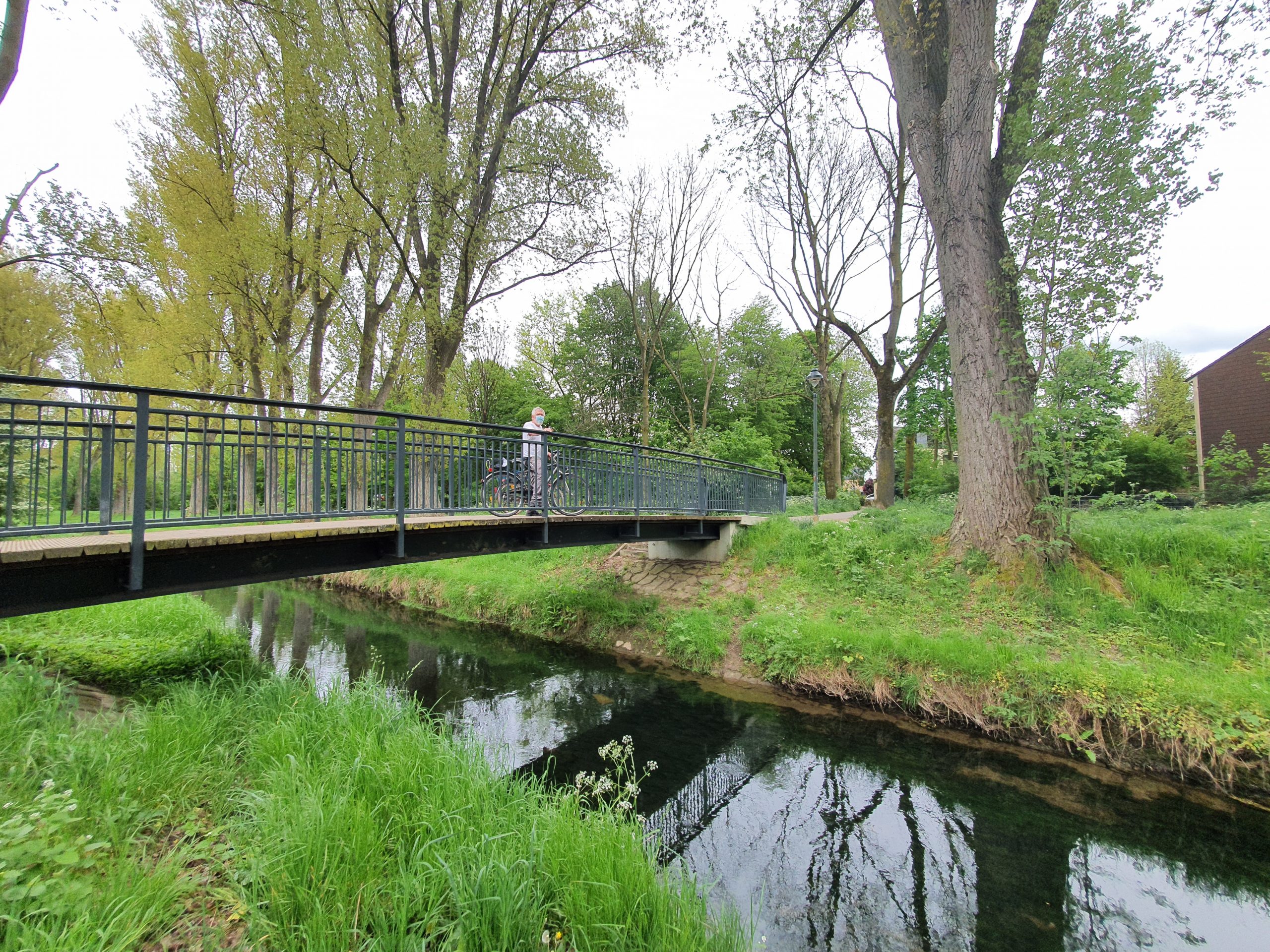 Jogging Track in Duesseldorf